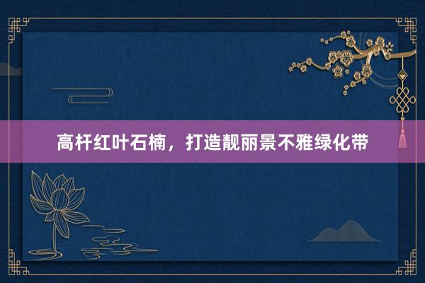 高杆红叶石楠，打造靓丽景不雅绿化带