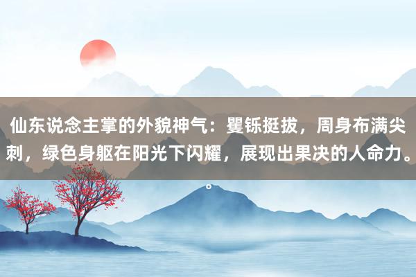 仙东说念主掌的外貌神气：矍铄挺拔，周身布满尖刺，绿色身躯在阳光下闪耀，展现出果决的人命力。