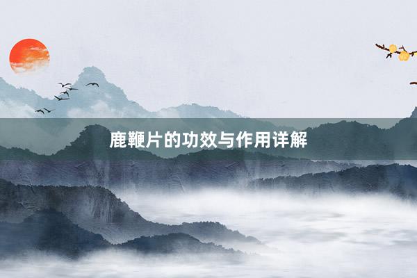 鹿鞭片的功效与作用详解